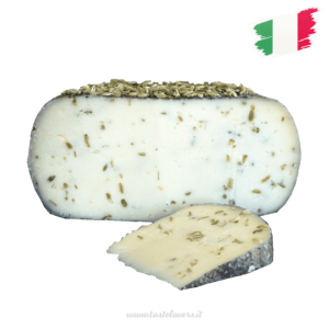 Pecorino cheese with fennel